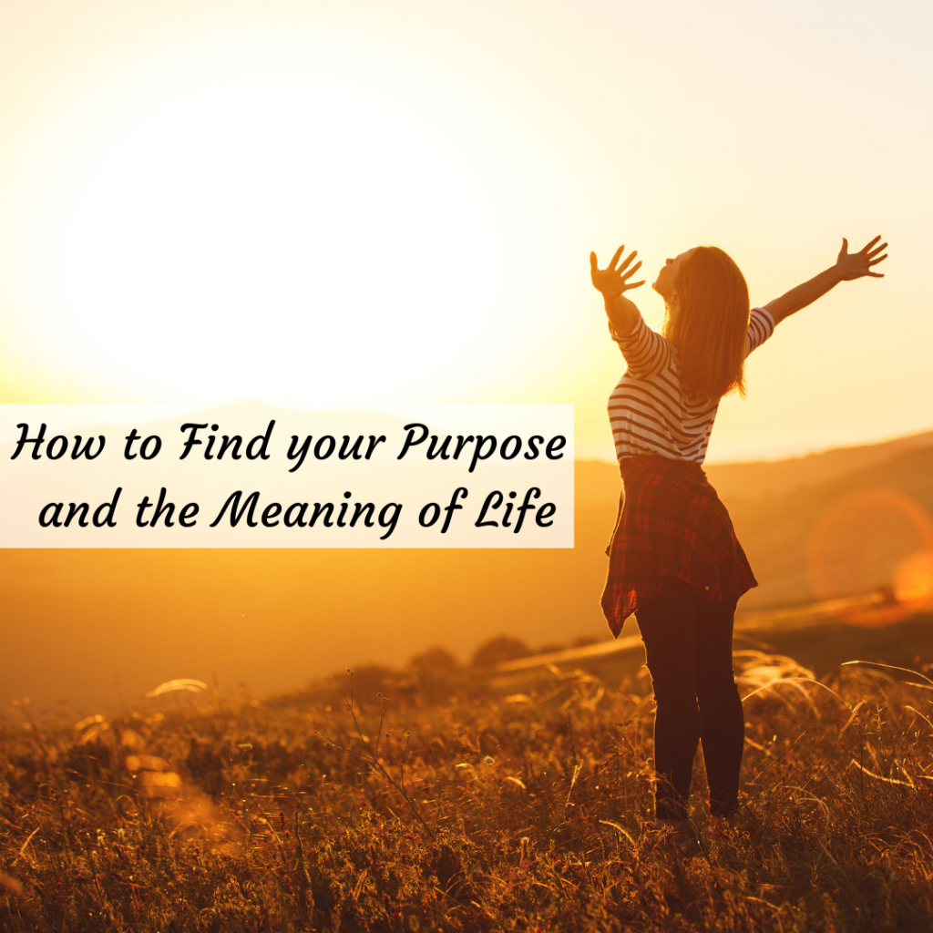 Find your Purpose and the Meaning of Life - Vanessa Bolet